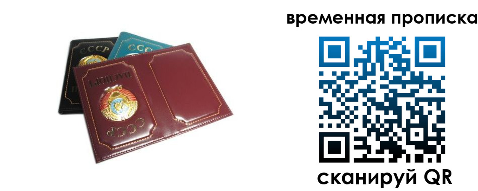 прописка 2025 в Московской области